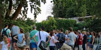 Besucher im Karlsruher Zoo. Die Gäste stehen vor einem Gehege und bestaunen die Tiere, die dort leben. Dann gehen sie weiter durch die Anlage des Tierparks, um sich noch die anderen Wildtiere anzusehen.