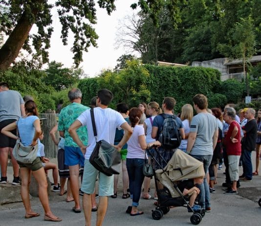 Besucher im Karlsruher Zoo. Die Gäste stehen vor einem Gehege und bestaunen die Tiere, die dort leben. Dann gehen sie weiter durch die Anlage des Tierparks, um sich noch die anderen Wildtiere anzusehen.