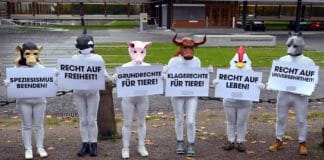 Mehrere Demonstranten der Tierschutzorganisation PETA stehen mit Plakaten nebeneinander. Sie setzen sich für den Tierschutz ein. Deshalb haben sie auch Tiermasken auf dem Kopf. Diese Aktion kann als Demonstration verstanden werden.