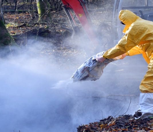 In Deutschland breitet sich eine ansteckende Seuche aus. Die Schweinepest hat schon mehrere Tiere befallen und ist extrem ansteckend. Die Verantwortlichen bekämpfen die Pest aktuell.