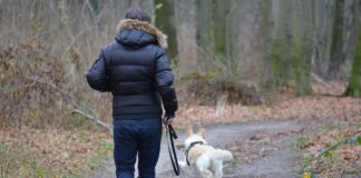 Mann mit seinem Hund im Wald.