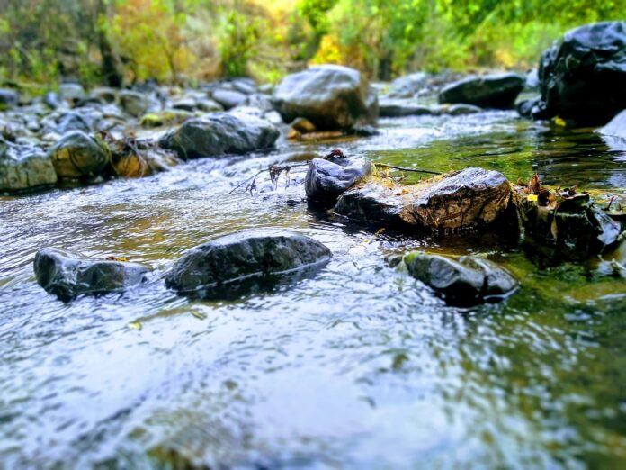 Die Alb in Karlsruhe. Das Wasser fließt an den Steinen entlang. Hier fühlen sich Fische und Wassertiere wohl – mitten in der Natur.