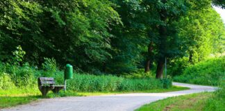 Bank im Park beim Stadtwald