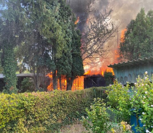 Feuer in Kleingartenanlage gelegt