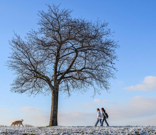 Frostlandschaft mit Spaziergänger.
