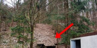 Versteckter Atombunker in Wald