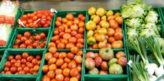 Tomaten und Gemüse im Regal