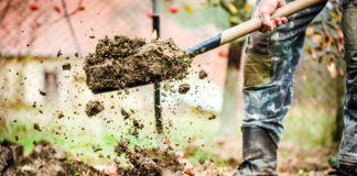 Mann bei Gartenarbeiten