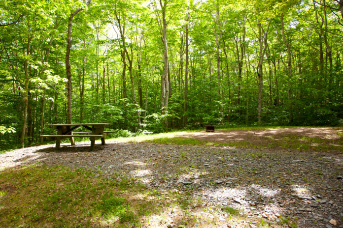 Grillplatz im Wald