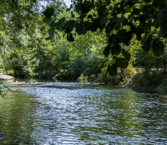 Kleiner Fluss in der Natur