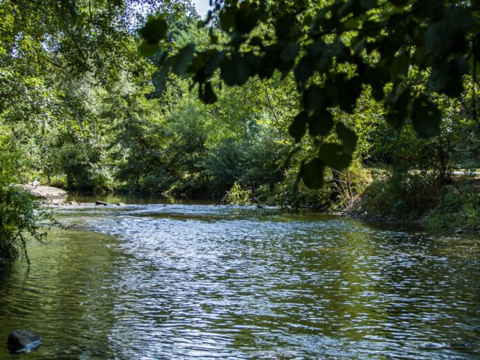 Kleiner Fluss in der Natur