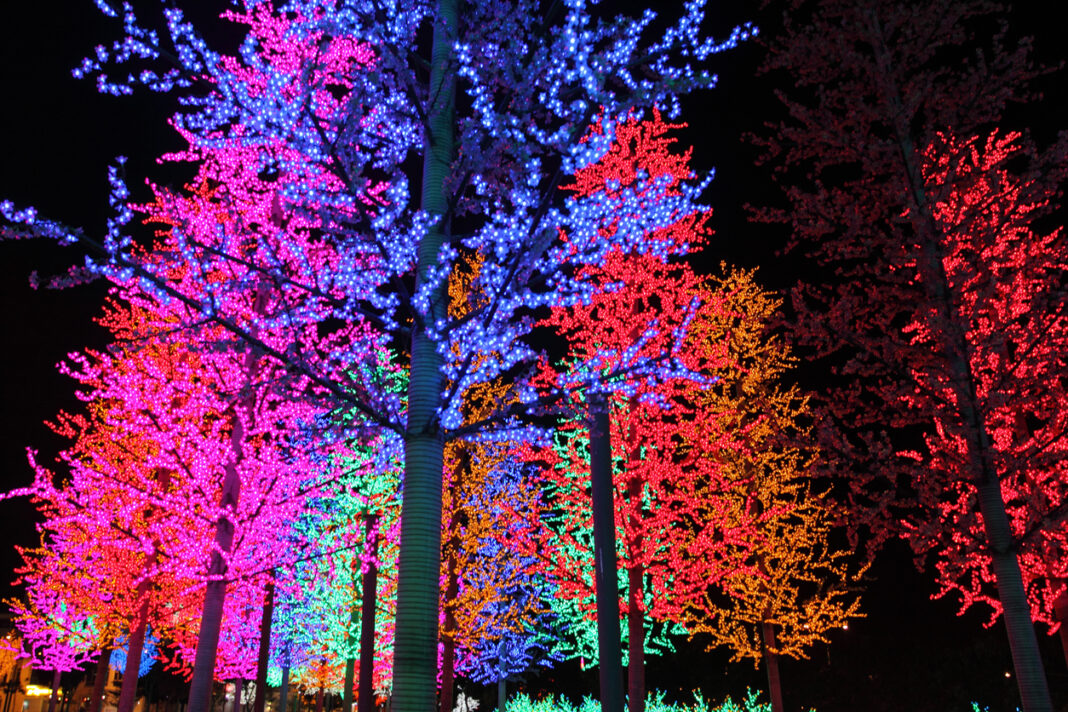 Ein Wald mit beleuchteten Bäumen. Christmas Garden findet auf dem Gelände des Zoos an – hier können die Besucher verschiedene Lichter und Lightshows anschauen, wenn Sie auf den Rundweg gehen.