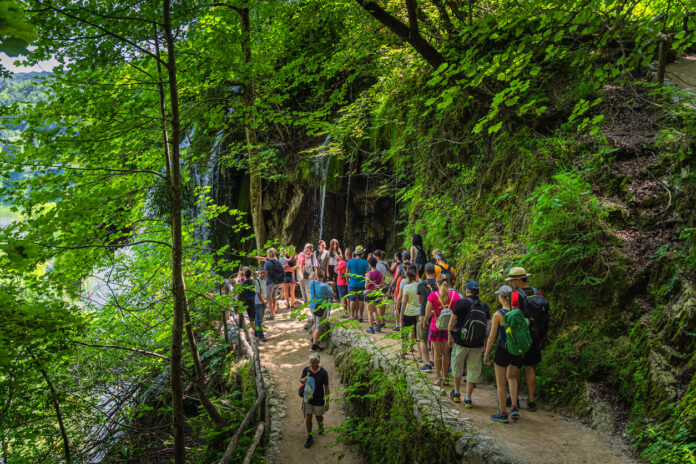 In einem dicht bewachsenen grünen Wald laufen viele Touristen einen Pfad entlang. Jung und Alt sind unterwegs. Eine Gruppe steht versammelt und lauscht den Worten eines Guides, während andere nach vorn eilen.