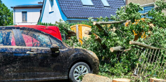 Ein Auto steht in den Resten eines Baumes