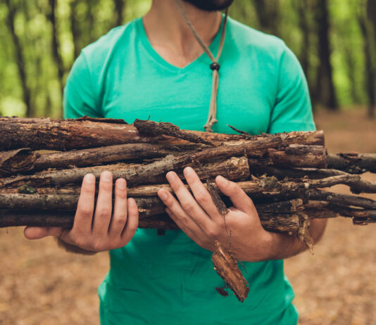 Ein Mensch sammelt Holz im Wald und trägt es.