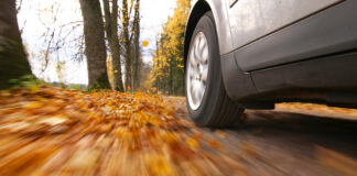 Ein Auto fährt auf einer Straße mit Herbstlaub.