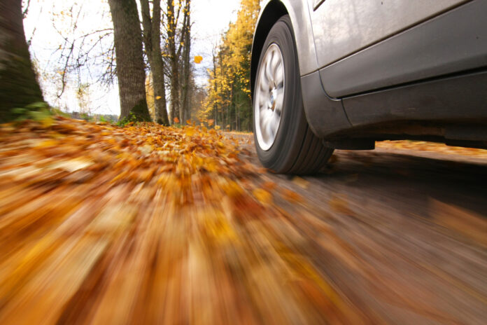 Ein Auto fährt auf einer Straße mit Herbstlaub.