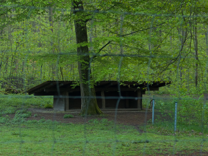 Eine dunkelbraune Holzhütte steht abgeschieden in einem Wald. Das Grundstück drumherum ist mit einem Zaun abgegrenzt, sodass es niemand betreten kann. Dahinter steht ein großer Baum, dessen Blätter fast bis auf das Dach hinabreichen.