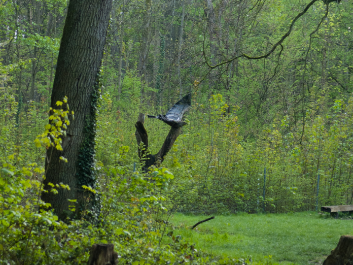 Viele Gebüsche in einem Wald. Im Vordergrund steht ein Baum in einem Laubwald, dahinter liegt eine Lichtung als Wiese mit vielen Gebüschen und anderen wilden Pflanzen.