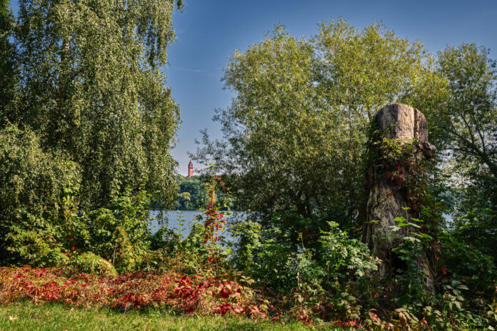 Bäume, Wiesen und ein See im Hintergrund in herbstlicher Atmosphäre