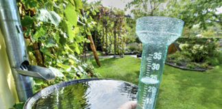 Ein Regenmesser mit Blick in einen Garten. Das Wasser steht in der Messanlage, sodass eine Person kontrollieren kann, wie viel Regen im Garten gefallen ist und wie viel man selbst noch gießen muss.