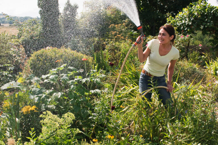 Eine Frau gießt die Pflanzen in ihrem Garten mit einem Schlauch.