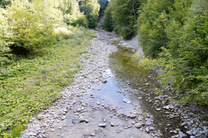 Ein trockenes Flussbett oder ein Rinnsal durch die Natur