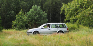 Ein silberner Volkswagen steht auf einer hohen Wiese. Im Hintergrund stehen viele Bäume.