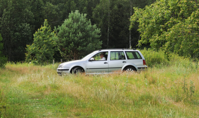 Ein silberner Volkswagen steht auf einer hohen Wiese. Im Hintergrund stehen viele Bäume.