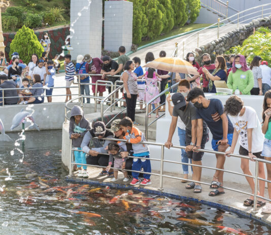 Touristen füttern in einem Freizeitpark Koikarpfen im Wasser