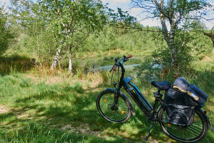 Ein Fahrrad steht auf einer Wiese inmitten der Natur