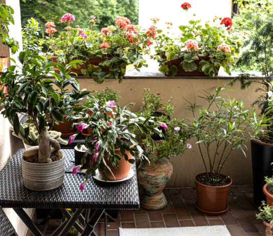 Blumen in Blumentöpfen auf einem Balkon