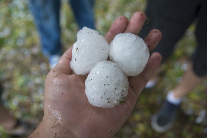 Ein Mensch hält sehr große Hagelkörner in der Hand. Daneben stehen zwei weitere Personen, die sich diese vermutlich angucken. Eine Hagel-Welle und ein Sturm sollen Deutschland bevorstehen.