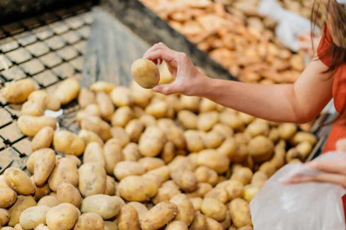 Eine Frau sucht sich eine von vielen rohen Kartoffeln im Supermarkt aus, um sie zu kaufen.