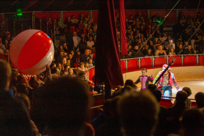 Das Publikum schaut sich in der Manege in einem Zirkus die Vorstellung von Artisten an.