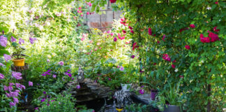 Ein kleiner Teich befindet sich in einem wunderschön angelegten Garten. Um den Teich herum sind viele bunte und vielfältige Pflanzen angelegt. Auf den Steinen rund um den Teich stehen Pflanzenkübel. Eine beliebte Wasserpflanze darf seit August nicht mehr in deutschen Gärten angelegt werden.