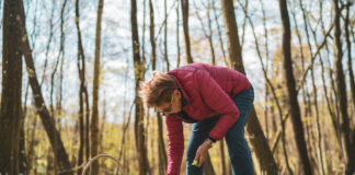 Eine ältere Dame in roter Jacke und Jeans sammelt Kräuter und Pilze vom Boden in einem Wald. Für die gesammelten Pflanzen steht ein Korb für den Transport auf dem Waldboden bereit.