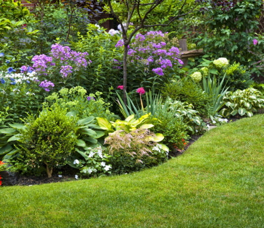 Ein Garten mit einer bunt bepflanzten Blumenecke und einem gepflegten Rasen.