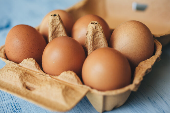 Braune Eier im Karton. Bald soll eine neue Regelung im Supermarkt gelten.