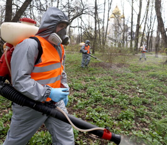 Mehrere Arbeiter in Schutzkleidung inklusive Warnweste, Kopfschutz und Handschuhen kaufen durch den Wald und bekämpfen Schädlinge in der Natur. Angestellte desinfizieren die Umgebung.