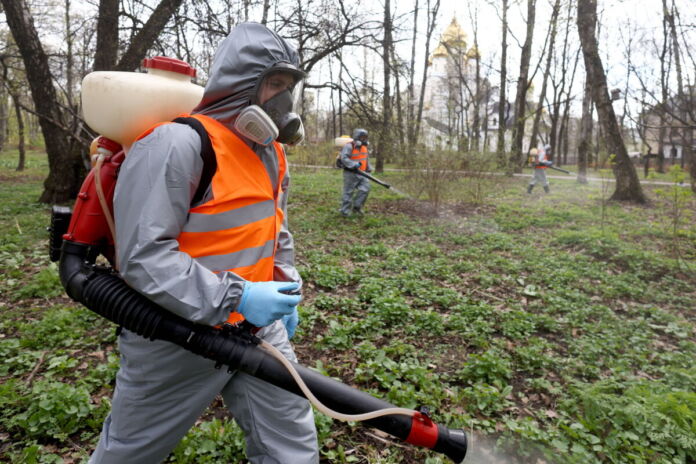 Mehrere Arbeiter in Schutzkleidung inklusive Warnweste, Kopfschutz und Handschuhen kaufen durch den Wald und bekämpfen Schädlinge in der Natur. Angestellte desinfizieren die Umgebung.