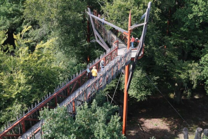 Umringt von Bäumen in einem Park steht in luftiger Höhe eine hölzerne Brücke, auf der Menschen passieren. Unter der Konstruktion befinden sich Gehege für Tiere, auf die die Besucher aus sicherer Entfernung runterschauen.