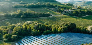 Auf einer Luftaufnahme eines Solarparks auf dem Land sind zahlreiche Solarpanels zu sehen, die umringt von Bäumen mitten in der Landschaft auf einer grünen Wiese in der Nähe eines Dorfes stehen und Strom und Sonnenenergie liefern. Eine Solar-Firma schlittert nun in die Insolvenz.