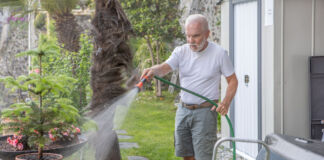 Ein Mann bei der Gartenarbeit. Der ältere Mann sprengt den Rasen mit einem Gartenschlauch. Dabei verteilt er Wasser im gesamten Garten, auf den Pflanzen und der Rasenfläche.