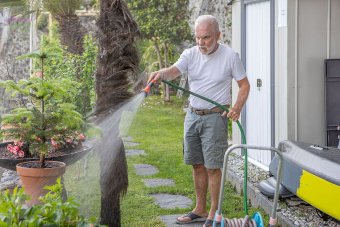 Ein Mann bei der Gartenarbeit. Der ältere Mann sprengt den Rasen mit einem Gartenschlauch. Dabei verteilt er Wasser im gesamten Garten, auf den Pflanzen und der Rasenfläche.