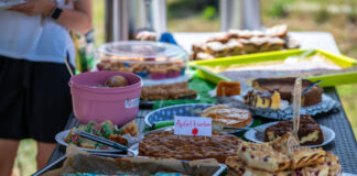 Auf mehreren Tischen in einer Reihe stehen verschiedene selbstgebackene Kuchen und Torten, die auf einem Kindergarten- oder Schulfest verkauft werden. Die Kuchenverkäufe von Schulen sollen bald steuerpflichtig werden.