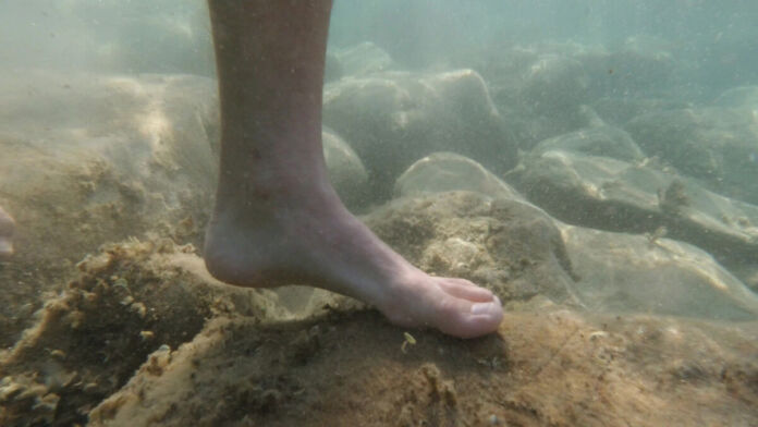 Eine Person läuft barfuß durch das Wasser über die Steine. Nur ein Fuß ist zu sehen. Der Mann oder die Frau steht auf einem mit Moos bewachsenen Stein. Andere Wasserbewohner sind nicht zu sehen.