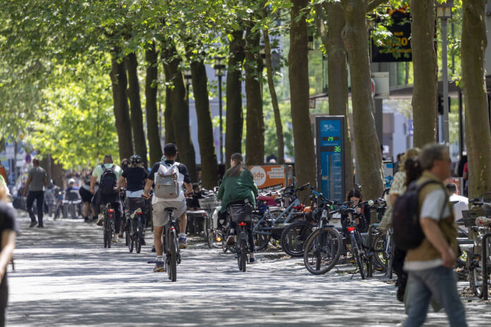 Eine lange Fahrradstraße ist gut befahren. Im Vordergrund laufen ein paar Passanten vorbei. Fahrräder parken an den Seiten der Allee. Bäume ragen an den Rändern der Straße auf, sodass nur ein vereinzelt Sonnenlicht durch die Baumkronen fällt.