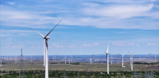 Ein großer XL-Windpark in freier Natur. In diesem Park stehen viele Windräder, die aus der Kraft des Windes Energie für die Haushalte erzeugen.