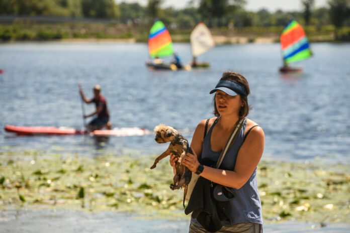 Eine Frau trägt ihren nassen, kleinen Hund an einem See entlang. Es scheint sehr warm zu sein. Die Frau schützt sich mit einem Cappy vor der Hitze und im Hintergrund sieht man mehrere Wassersportler auf dem Wasser fahren.